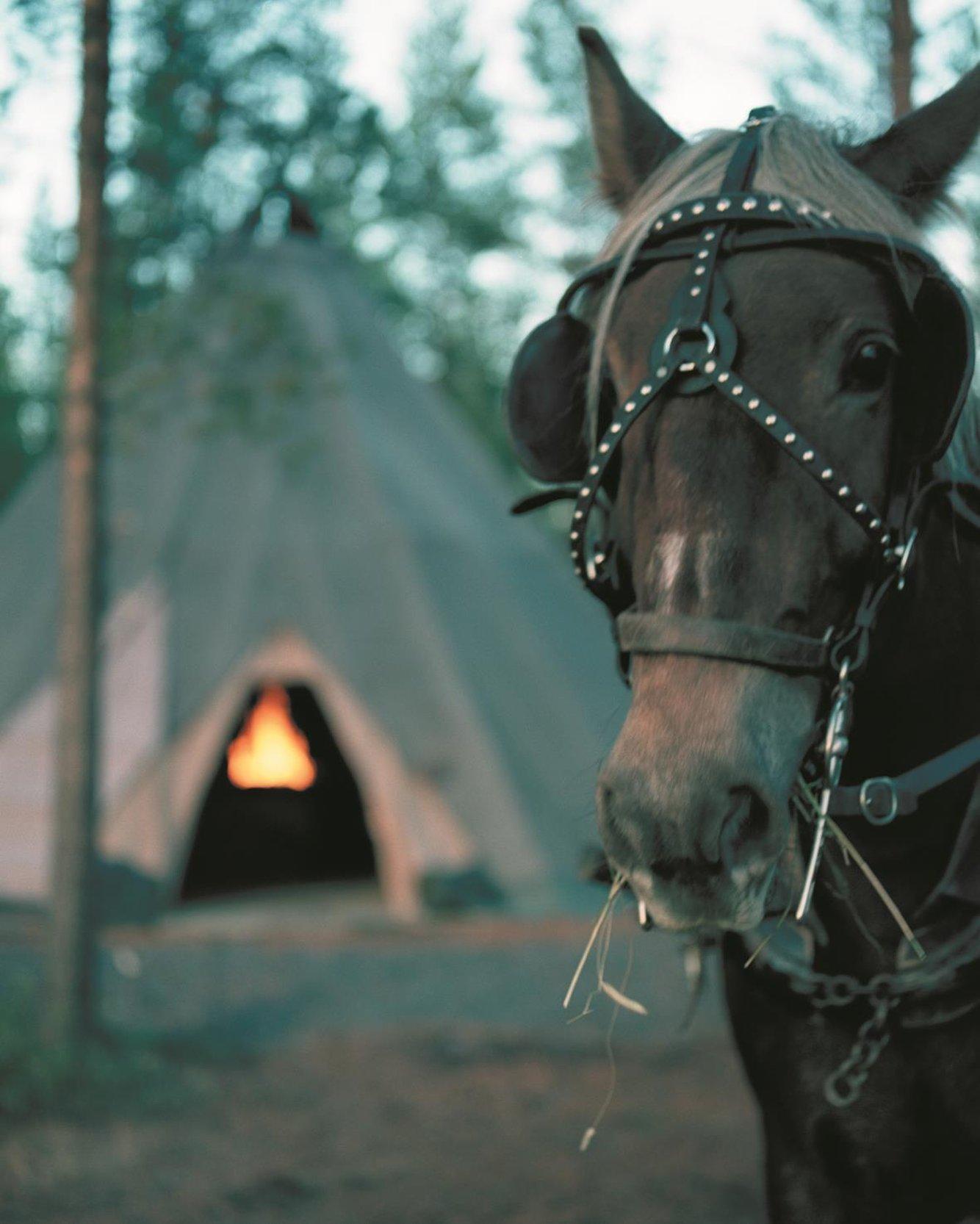 Nordkalotten Hotell & Konferens Luleå Exteriör bild
